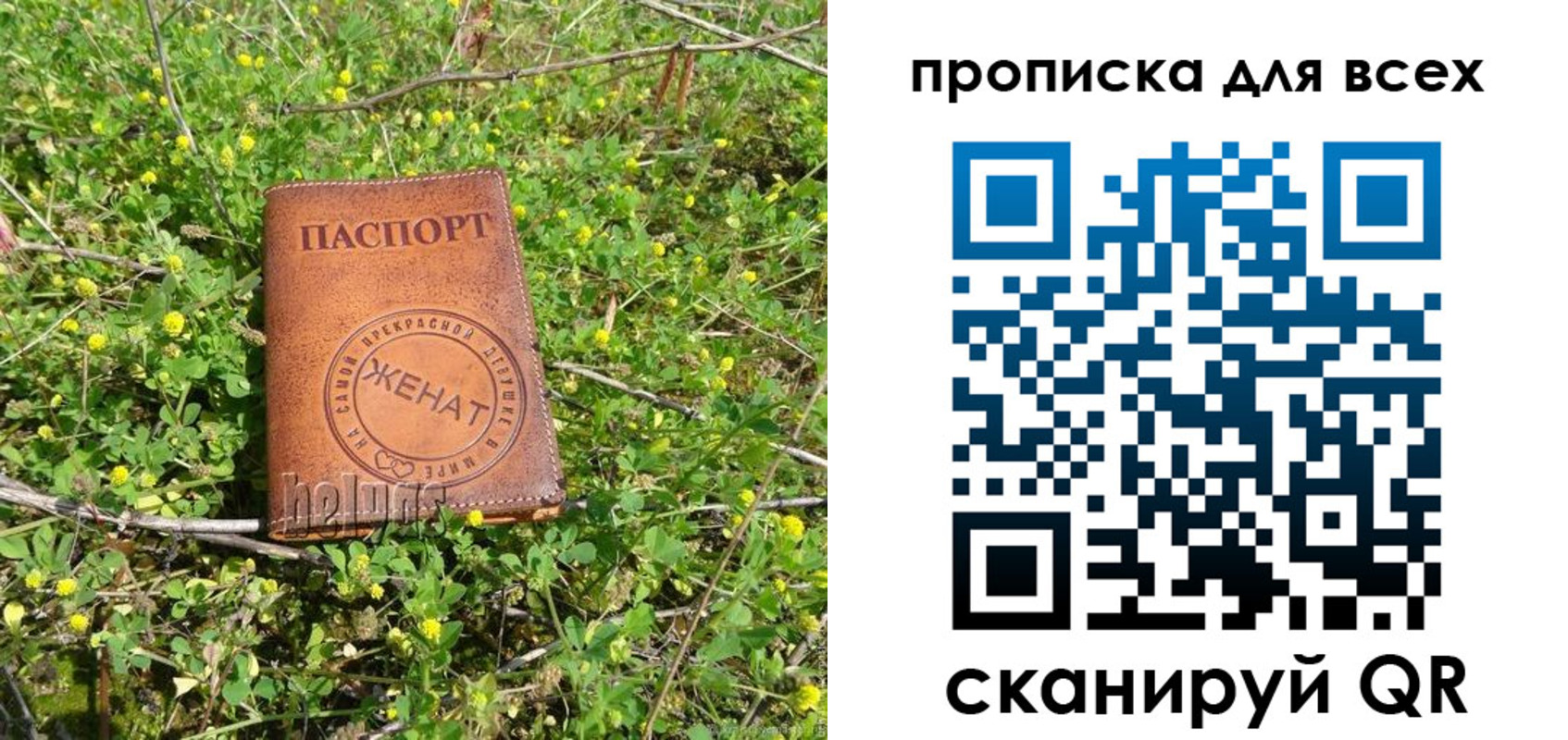 прописка поиск в Находке